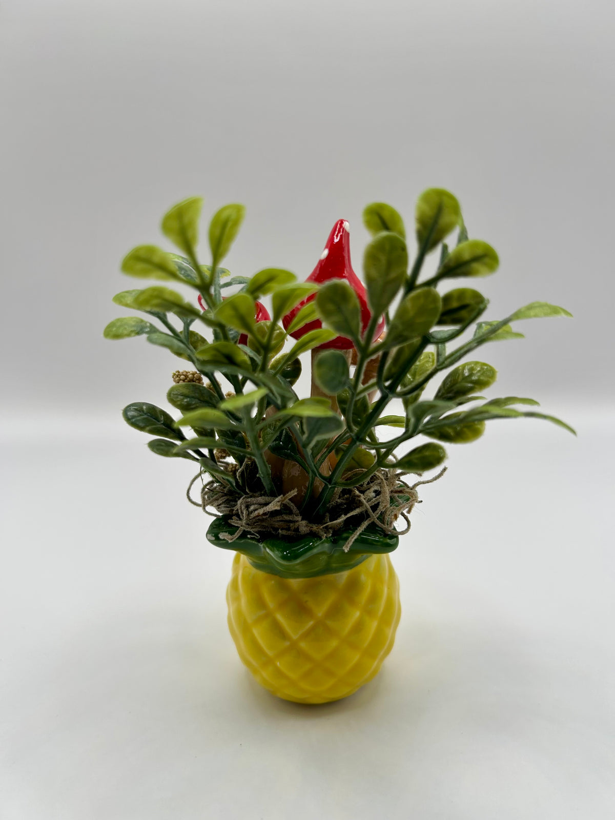 Pineapple fairy garden