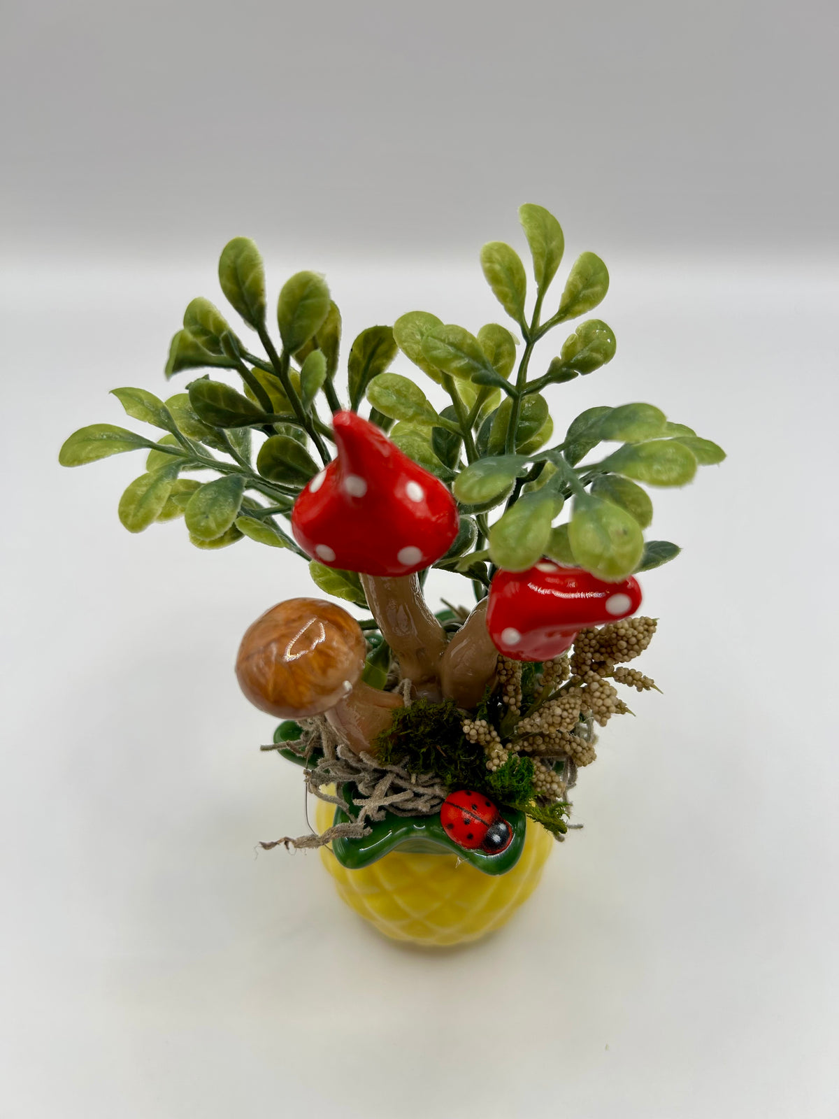 Pineapple fairy garden