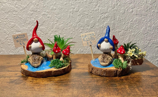 Gnome riding alligator