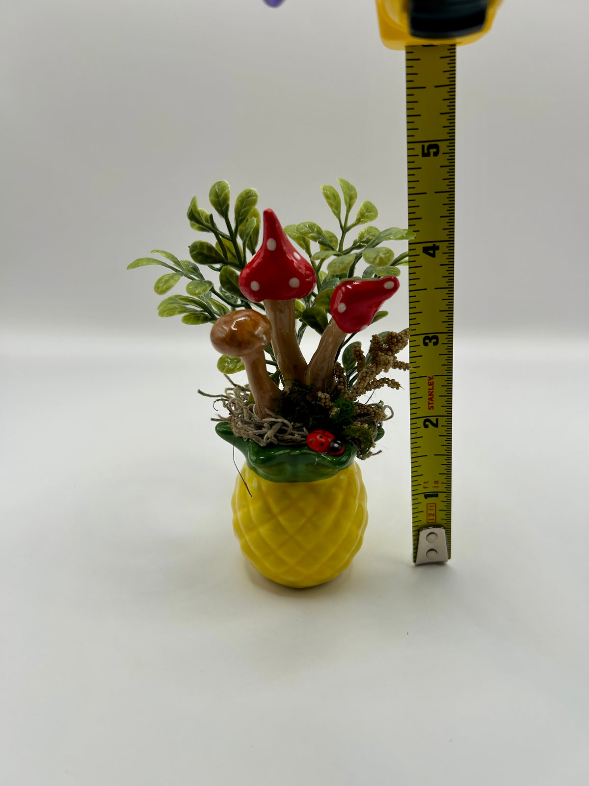 Pineapple fairy garden