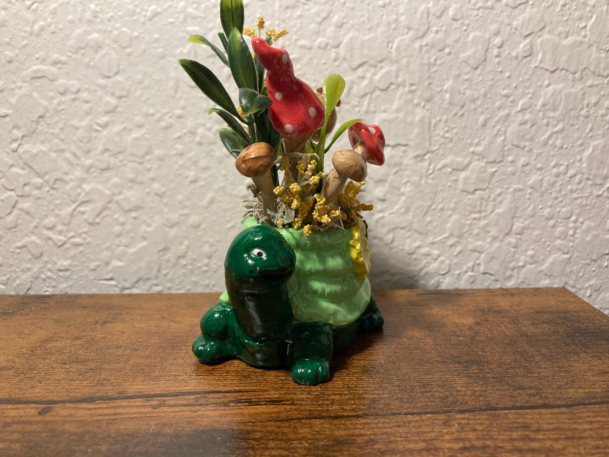 Turtle garden