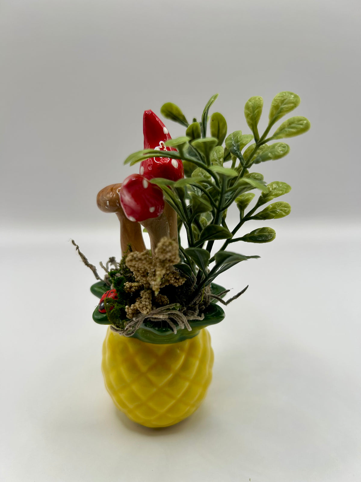 Pineapple fairy garden