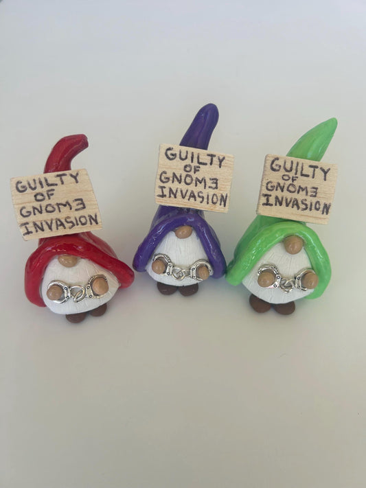 Gnome Invasion Arrested Gnomes