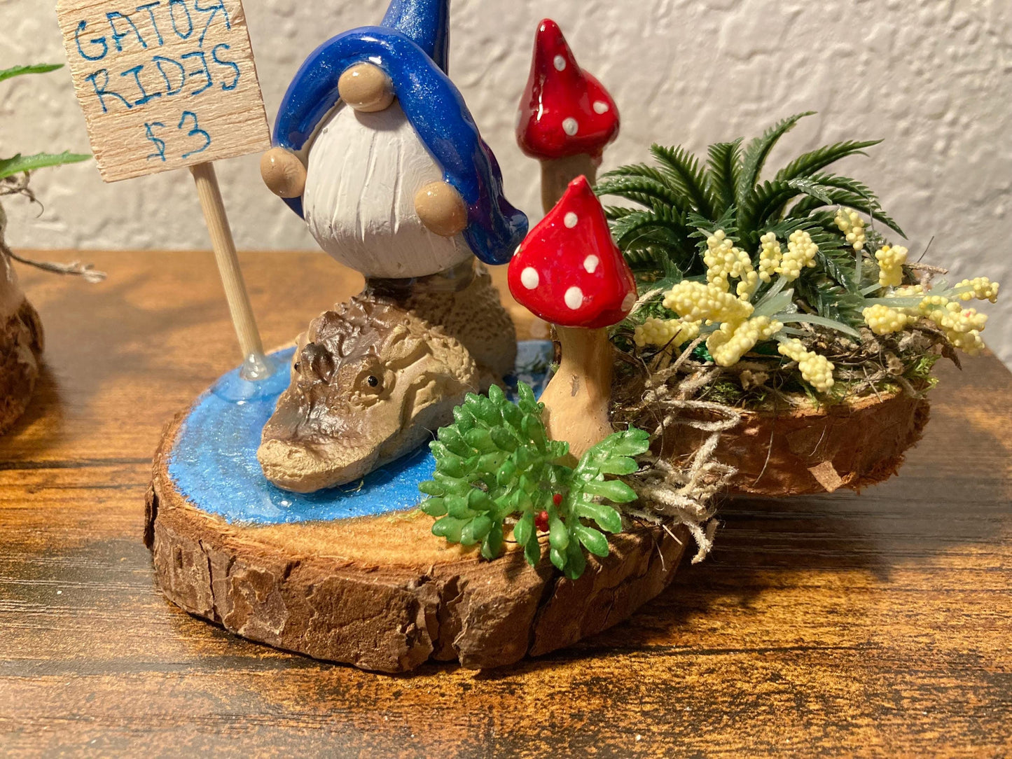 Gnome riding alligator