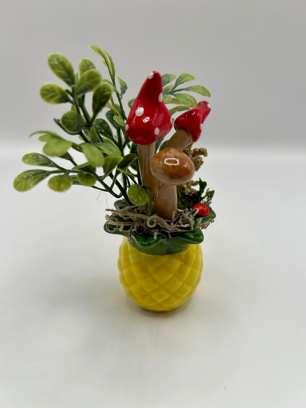 Pineapple fairy garden