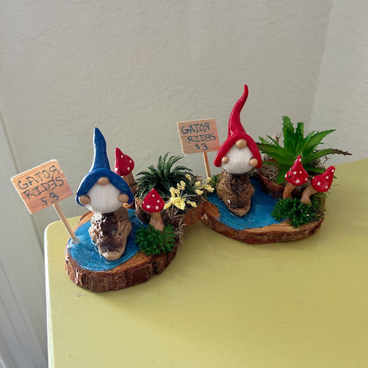 Gnome riding alligator